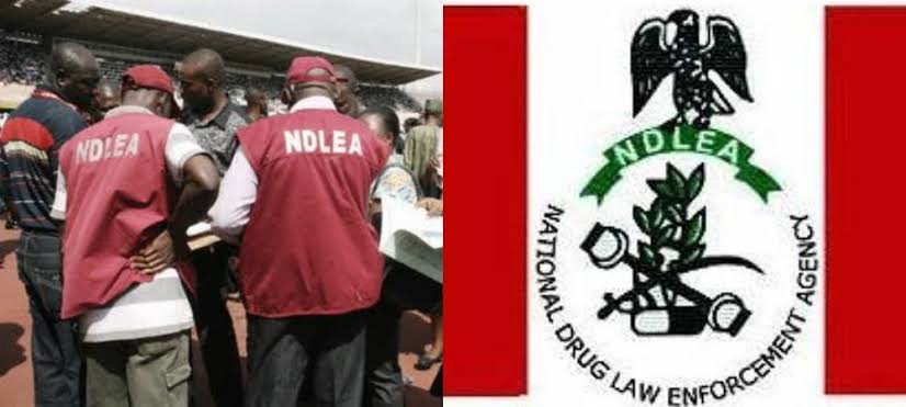 NDLEA Salary