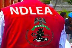 NDLEA Recruitment