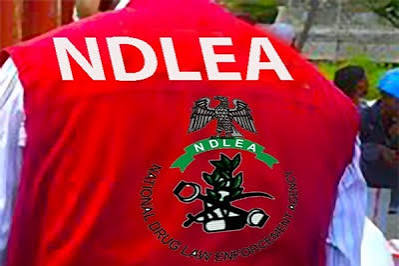 NDLEA Shortlisted Candidates
